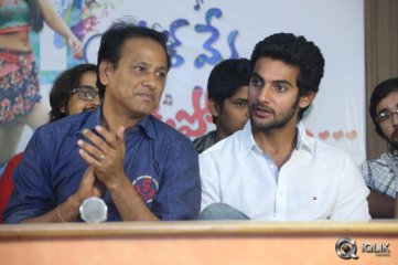 Pyaar Mein Padipoyane Movie Success Meet